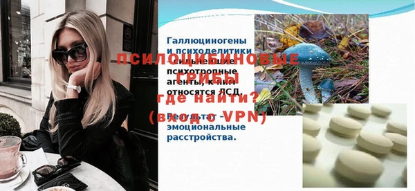 гашик Балахна