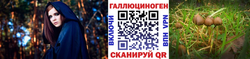 Галлюциногенные грибы мухоморы  Купить  Горняк 